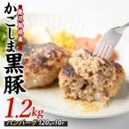 特製 黒豚 ハンバーグ 120g×10個
