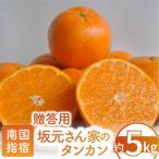 ふるさと納税 指宿市 みかん農家坂元さんちのタンカン贈答用約5kg(A-055)