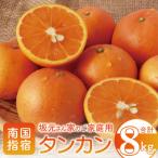 ふるさと納税 指宿市 みかん農家坂元さんちのタンカンご家庭用約8kg(A-056)