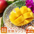 ふるさと納税 指宿市 【2025年 発送】しあわせ完熟マンゴー3〜6玉入り(044-1768)