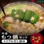 ふるさと納税 久留米市 久留米市　大昌園「もつ鍋セット・トリプルだし醤油2〜3人前/特製辛味調味料付き」