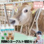 飛騨の牛乳屋 ヨーグルト3種よりどりセット