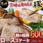 麹の極豚ロースステーキ100g×6枚