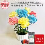 切花染色剤 フラワーパレットR T024-12