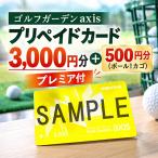 3,000円プリペイドカード+500円分