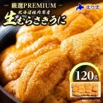 ふるさと納税 稚内市 【先行予約】【厳選PREMIUM】美味しいウニは昆布の名産地にあり!生むらさきうに120g 海鮮