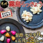 霧島らっきょう甘酢 ピリ辛9袋&amp;五月の宝石セット