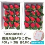 朝摘み当日発送 王様のいちご 2箱