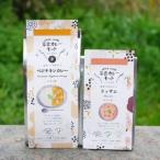 初級編B 菜食カレーキット2個セット ベジチキンカレー&amp;…