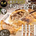 ふるさと納税 都城市 香り立つ!「きのこ餃子」
