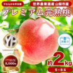 ふるさと納税 山梨市 約2kg 完熟 桃 とろける甘み YAMANASHI PRIDE (5〜8玉)