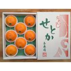 化粧箱 柑橘の大トロ ハウス せとか 8玉入