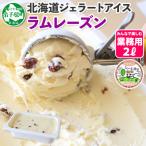 ふるさと納税 弟子屈町 【北海道】業務用 アイスクリーム ラムレーズン 2L 手作り ジェラート 605