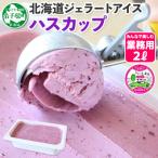 ふるさと納税 弟子屈町 【北海道】業務用 アイスクリーム ハスカップ 2L 手作り ジェラート 607