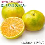 有田みかん 早生みかん 秀品または優品 約5kg