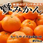 有田のブランドみかん 賢みかん 5kg
