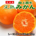 有田産樹上越冬完熟みかん約5kg