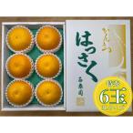 手詰め有田はっさく大玉3L×6玉入