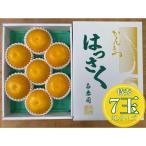 手詰め有田はっさく大玉2L×7玉入