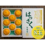 手詰め有田はっさくL×8玉入