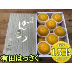 手詰め有田はっさくL×15玉入