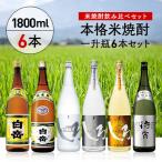 白岳 厳選一升瓶6本セット