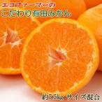 エコファーマーのこだわり有田みかん約7.5kg