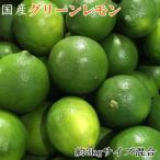 和歌山産グリーンレモン約3kg サイズ混合