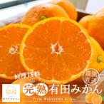 ふるさと納税 湯浅町 《先行受付・2025年11月〜発送》農家直送　完熟有田みかん　3kg　サイズ混合