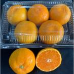 ふるさと納税 有田川町 ハウスみかん　パック入り　S、2Sサイズ　4パック【マルシ農園】