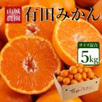 ふるさと納税 有田川町 【先行予約】山城農園 和歌山県産 有田みかん 5kg 混サイズ 農園直送 ORYY推奨