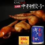 手羽餃子 約1kg