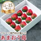 ふるさと納税 朝倉市 【11月下旬より順次発送】福岡のいちご!苺本来の酸味と甘み!贈答用あまおう12-15粒(朝倉市)