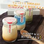 南国宮崎の新名物 南国プリン6個セット