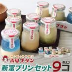 南国宮崎の新名物 南国プリン9個セット