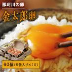 那珂川の金太郎卵 60個