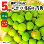 青梅 南高梅 5kg