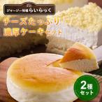 チーズ 濃厚ケーキセット