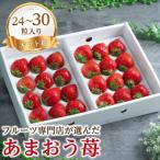 ふるさと納税 大牟田市 【11月下旬より順次発送】苺本来の酸味と甘み!贈答用あまおう 24-30粒(大牟田市)