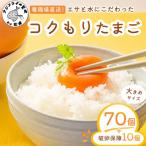 養鶏場直送 松浦の赤たまご コクもりたまご