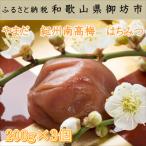 やまだ 南高梅はちみつ梅 250g×3個