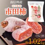 ふるさと納税 飯田市 いつもの市田柿(トレー170g×6袋セット)