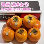 福岡産 柿 秋王 あきおう 約3kg箱 8-12玉