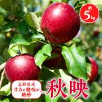 ふるさと納税 南箕輪村 2025年!信州のりんご【秋映】約5kg