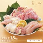 天草大王贅沢1羽セット