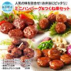 ショッピングふるさと納税 ハンバーグ ふるさと納税 泉佐野市 おすすめ!人気のハンバーグとつくね 4種セット 099H869