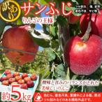 ふるさと納税 箕輪町 2025年!信州のりんご【サンふじ】訳あり 約5kg 家庭用