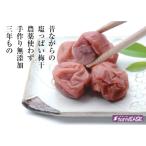 昔ながらの塩っぱい梅干 16パック入り