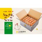 たまご 鶏卵 鹿島産 平飼い卵 うみとやまとこっこ