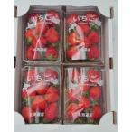 ふるさと納税 上富良野町 すずあかねいちご【A品】300g×4パック